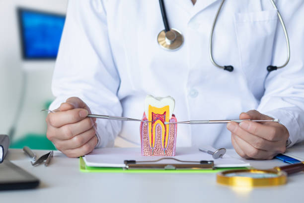 Best Emergency Root Canal Treatment in Holstein, IA